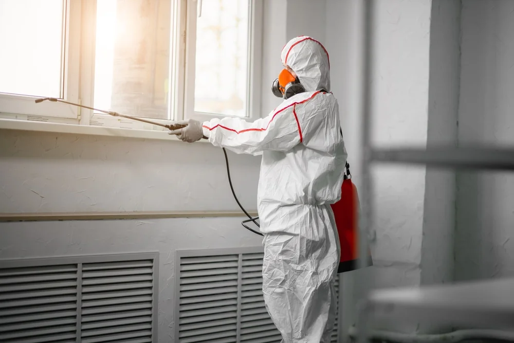 Professional mold remediation services in Exeter, NH